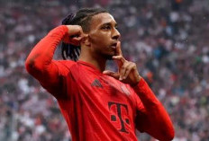 Tak Ada  Klausul Rilis Olise, Bikin Klub Premier League Gigit Jari