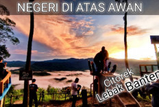 Destinasi Wisata Negeri Di Atas Awan Citorek yang Menakjubkan Dengan Keindahan Alam, Wajib Kamu Kunjungi...
