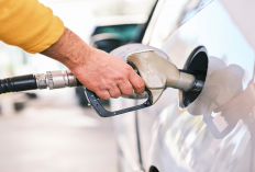 Mantap! Polresta Tidore Gagalkan Mobil Pickup Angkut BBM Ilegal Sebanyak 800 Liter, Berikut Keterangannya...