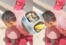 Telan Korban Lagi! Siswa SD di Bombana Muntah-muntah Usai Santap MBG, Ternyata Begini Kondisi Lauknya