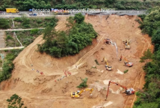 Putus Harapan, Badan PBB Tak Yakin Masih Ada yang Selamat Akibat Bencana Tanah Longsor di Papua Nugini