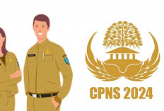 Resmi! Pengumuman Hasil CPNS 2024, Tahapan Lanjutan dan Cara Mengajukan Sanggah, Cek Disini