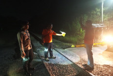 Linmas Tewas Tertabrak Kereta Saat Jaga Perlintasan