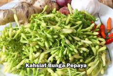 6 Manfaat Luar Biasa Bunga Pepaya Untuk Kesehatan Kamu Yang Sering Diabaikan