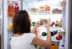 Coba 4 Trik Hemat Listrik Kulkas, Modal Hanya Rp 1000, Pasti Bayar Tagihan Lebih Murah! 