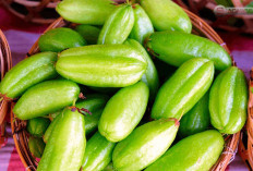 6 Manfaat Luar Biasa Daun Belimbing Wuluh! Kesehatan Tulang, Gula Darah, Hingga Lawan Kanker!