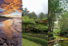 3 Wisata Tegal Terpopuler yang Wajib Kamu Kunjungi, Keindahannya Bikin Terpesona!