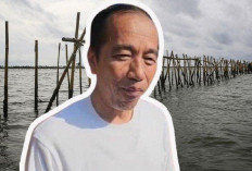 Tanggapan Jokowi Soal SHGB Kisruh Pagar Laut Tanggerang, Disebut-sebut Terbit Pada Eranya