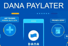 Cuma Modal HP, Saldo DANA Rp10 Juta Bisa Cair Kurang dari 1 Menit! Begini Cara Upgrade Limit DANA PayLater