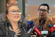 Hasil Tes DNA Negatif, Muncul Sosok Doris Setiawan Disebut-sebut Ayah Kandung Anak Lisa Mariana!