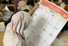 Perbedaan Quick Count, Real Count dan Exit Poll dalam Hasil Pilpres 2024, Mana yang Lebih Akurat?