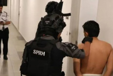 Terungkap! Perwira ATM Diduga Jual Informasi Militer ke Sindikat Narkoba