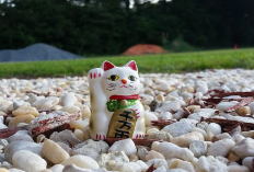 Kenapa Maneki Neko Dianggap Sebagai Patung Pembawa Keberuntungan? Begini Penjelasan Menurut Sejarahnya...