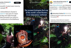 Viral! Oxford Tuai Kritik Usai Lupakan Peneliti Indonesia dalam Penemuan Rafflesia Hasseltii