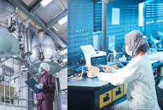 BUMN Farmasi Anak Usaha Biofarma Ini Sudah Bayar THR Karyawan, Tapi Nunggak Gaji Maret, Terancam Bangkrut?