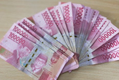 Jangan Salah! Ini Beda Besaran Tunjangan Profesi Guru Triwulan IV 2025 untuk ASN dan Non-ASN