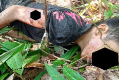 Ya Allah, Bocah SD Diduga Korban Begal,  Ditemukan Tewas dengan 8 Luka Tusuk, Motor dan Handphone Raib