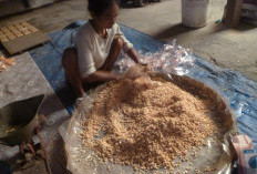 Fermentasi Unggulan, Begini Proses Pembuatan Tempe, Wajib Coba