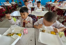 Program Makan Bergizi Gratis Dihentikan Sementara Saat Libur Sekolah: Ini Alasan dan Respons Pemerintah