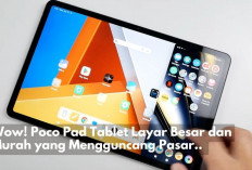 Menyala Abangku! Poco Pad Tablet Layar Besar Harga Murmer, Bikin Brand Lain Kelihatan Cupu Nih
