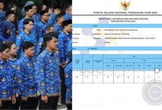 Cek di Sini, Daftar Seluruh Instansi Pusat yang Umumkan Hasil Akhir CPNS 2024: Simak Cara dan Linknya