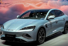 Harga Rilis Hampir Rp800 Juta, BYD Seal yang Bekas Bisa Dipinang di Harga Segini, Tertarik?