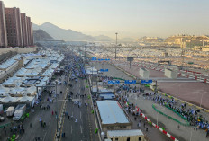 1.301 Jamaah Meninggal Dunia, Dominasi Haji legal, Kemenag: Begini Tahapan Haji Tahun Depan