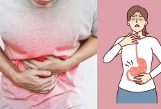 Anti Sembelit! 5 Tips Jitu dan Cara Pencernaan Tetap Lancar Selama Liburan dan Hindari Ini Paling Penting! 