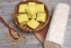 Kamu Lebih Suka Tahu Atau Tempe? Yuk Kita Lihat Kandungan Gizinya