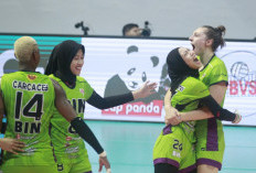 Dicari Penguasa Voli Putri Proliga 2024, Megatron Bersama Jakarta BIN atau Yolla Jaga Hegemoni Electric PLN?
