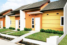Harga Rumah Subsidi Naik, Jokowi Gratiskan PPN Pembelian Properti di Bawah Rp2 Miliar