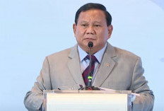 Jabatan Wakil Panglima TNI Diaktifkan Lagi Setelah 25 Tahun Kosong, Ini Sosok Calon Pengganti Fachrul Razi