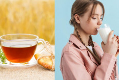 Dijamin Tidur Pulas, Ini 5 Menu Minuman Sehat yang Efektif Bikin Cepat Ngantuk, Nomor 1 Mudah Didapat!