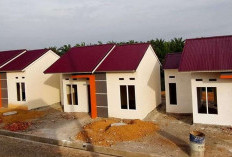 Ayo Buruan Beli!  Pemerintah Naikan Harga Rumah Subsidi Rp 166 Juta Tahun 2024