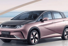BYD Dolphin Cocok untuk Mobil Harian dan Perjalanan 100–400 Km? Ini Kelebihan, Kekurangannya