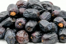 Keistimewaan Kurma Saat Berbuka Puasa Bukan Cuma Sunnah, Ini Alasan Ilmiahnya!