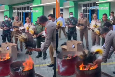 BBKSDA Papua Dikecam Warga Usai Bakar Mahkota Adat Cenderawasih, Kini Minta Maaf