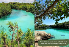 Danau Weekuri Lagoon: Surga Tersembunyi di Sumba dengan Air Biru Kehijauan yang Memukau & Instagramable Banget