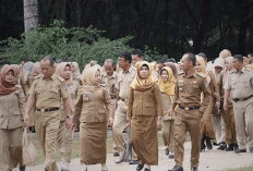 ASN Bisa Mudik Lebih Awal! WFA Resmi Diberlakukan Jelang Lebaran 2025