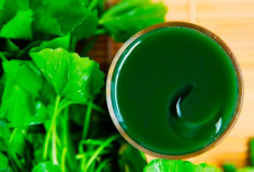 6 Manfaat Daun 'Centella' Sebagai Masker Kecantikan Alami, Berikut Cara-cara Membuatnya!