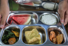 Program MBG di SDN Barkot Pamekasan Disorot Usai Temuan Ulat di Daun Selada, Kepala Sekolah Buka Suara! 