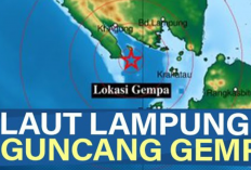Waspada! Gempa Magnitudo 2,5 Guncang Laut Lampung, BMKG Tanggamus Beri Peringatan