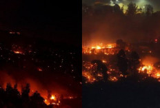 Titik Api Baru Muncul di Pegunungan Utara Los Angeles, Kebakaran California Masih Terus Meluas