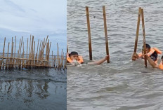 Pagar Laut Sepanjang 30 KM di Tangerang Dibongkar! Lebih dari 2.000 Personel Dikerahkan