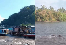 Air Laut Surut Pasca Gempa Magnitudo 7,6 di Minahasa Tenggara, Warga Diminta Jauhi Pantai