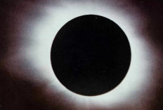 Hore! Gerhana Matahari Total Terlihat di Indonesia, Catat Jadwal dan Lokasinya..