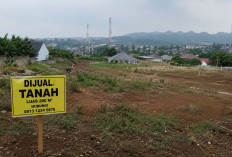 Jangan Terbuai Lokasi Populer! Kawasan Ramai Hari Ini Belum Tentu Menguntungkan Besok