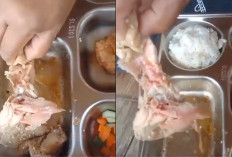 Viral! MBG Ayam Mentah dan Nasi Setengah Matang di SD Alang-alang Serang, SPPG Minta Maaf Akui...
