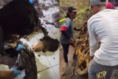 Lima Tahun Hilang, Dua Bersaudara Ditemukan Tinggal Kerangka, Polisi Tangka Terduga Pelaku Penganiayaan