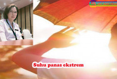 Panas Ekstrem, Minim Uap Air Suhu Tembus 36.2 Celcius, BMKG Angkat Bicara